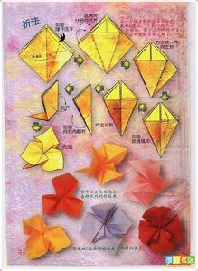 各种花的折纸方法视频 各种花的折纸方法