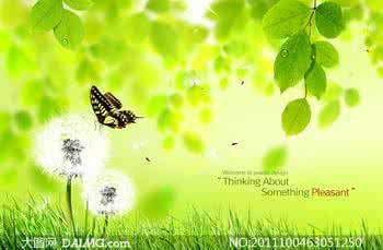 粉色树叶边小开衫 飘舞的树叶--清新典雅的薄款开衫