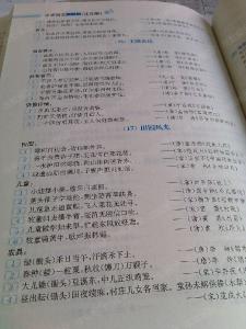 小学语文资料包 小学语文资料包2