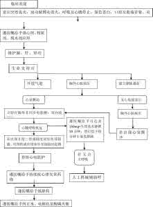 心脏骤停急救流程 心脏骤停急救流程 心脏骤停急救的关键