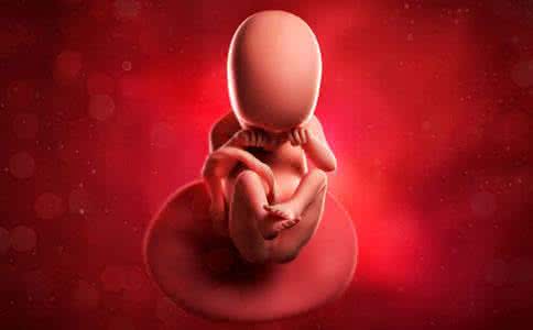 爸爸桥本会遗传胎儿吗 胎儿成长会更需要爸爸吗