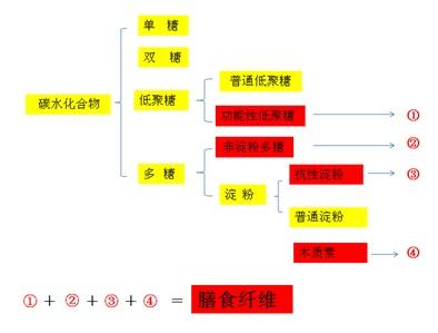 膳食纤维的作用 膳食纤维的作用 膳食纤维的作用是什么？