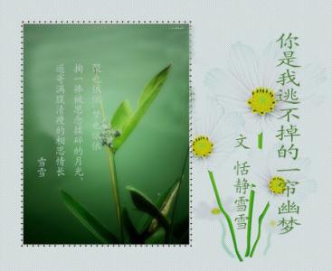 难忘那一缕幽香 你是我岁月里的一缕幽香