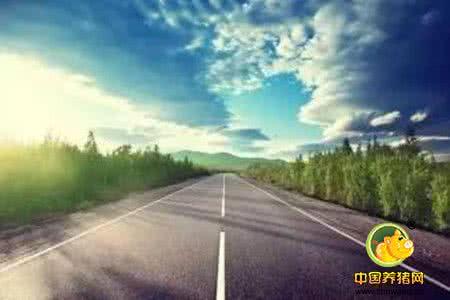 不能走那条路 【你只管朝着自己的那条路走人生】