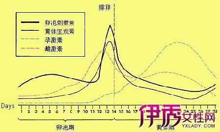 月经周期不规律 月经周期不规律 月经周期不规律怎么办