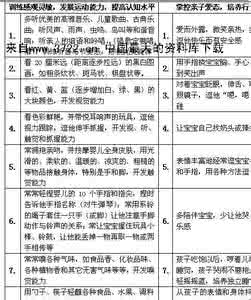 实施性教学计划 《早教革命》施教计划表格