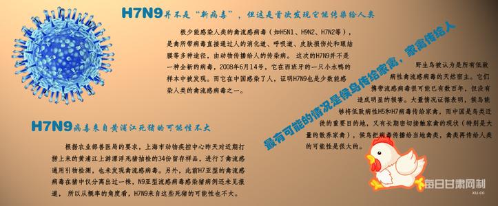 甘肃湖北连发禽流感 湖北到甘肃 甘肃湖北连发禽流感 秋天应如何预防禽流感