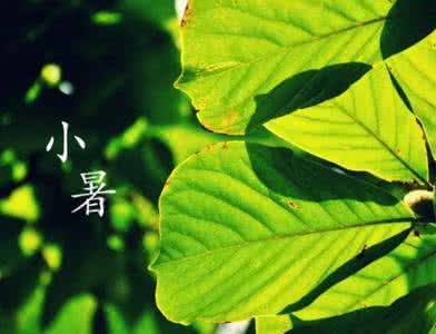 小暑节气 小暑节气祝福短信