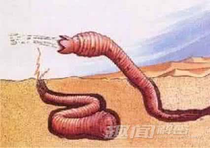 蒙古死亡之虫 十大无法考证的恐怖生物 蒙古死亡之虫
