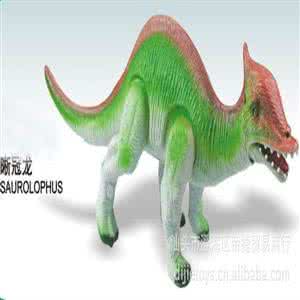 鳄鱼图片 鳄晰 (图)