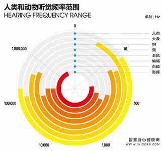 视觉型听觉型感觉型 超视觉听觉魅力