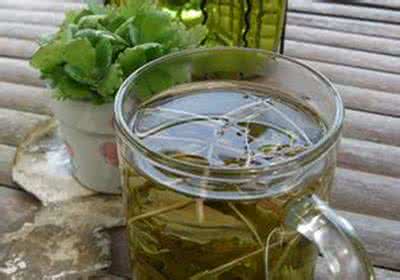 新鲜蒲公英泡水的功效 蒲公英泡水喝的功效与作用