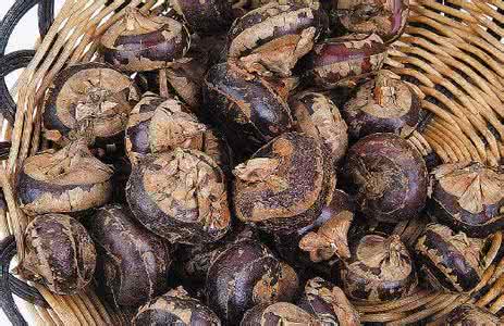 治疗肺癌晚期特效偏方 肺癌患者中医治疗特效偏方