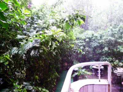 寡妇情调视频草民网 情调是一株幽草，长在破碎的尘埃处【转】