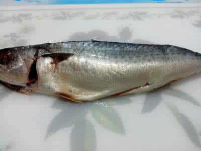 鲜鲅鱼怎么做好吃 用油封住的鲜香：油封鲅鱼