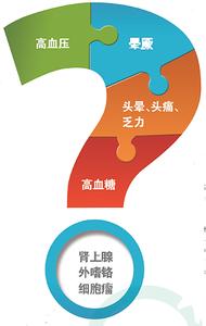 中华高血压杂志官网 杂谈网 高血压杂谈