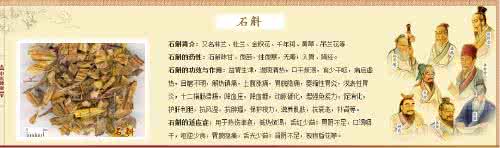 铁皮石斛多少钱一斤 铁皮石斛的功效与作用