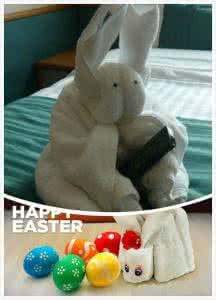 酒店的毛巾干净吗 邮轮上的毛巾干净吗？