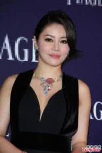 钟镇涛 范姜 【范姜】范姜爆乳装亮相酒会钟镇涛一旁猛拍照_范姜