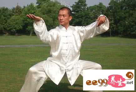 武当太极拳13式慢动作 武当太极拳十三式动作要领