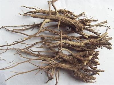 柴胡疏肝散的功效 柴胡疏肝散的功效 柴胡疏肝散功效有哪些呢