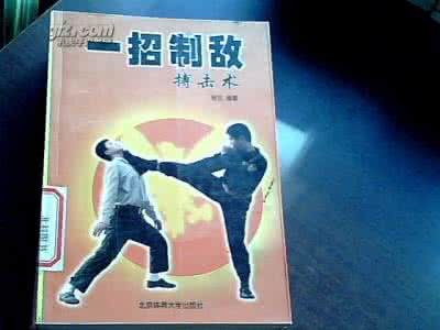 一招制敌搏击术 一招制敌搏击术 一招制敌术(一)