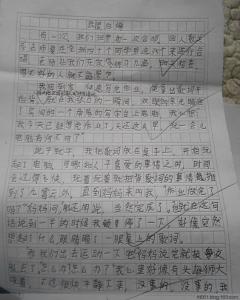 我真后悔作文400字 选择了，别后悔作文500字