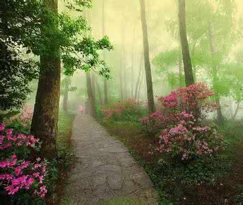 花间小路 花间小路 花间小路,你陪不陪我走~