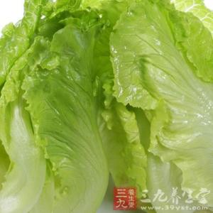 生菜的营养价值及功效 生菜的营养价值 生菜的做法及挑选方法