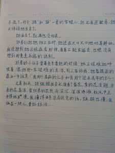 秋天的怀念读后感 秋天的怀念读后感作文750字