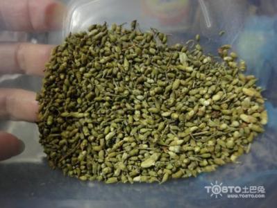 槐米茶的功效与作用 槐米的功效 槐米的功效与作用 竟然有那么多好处?