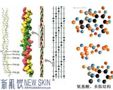 纳米胶原蛋白新肌饮 新肌饮纳米胶原蛋白 纳米胶原技术是受国际的认可的新肌饮