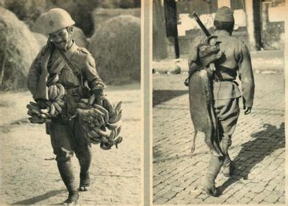 日军师团 日军师团战力与抗战初期世界各军战力对比