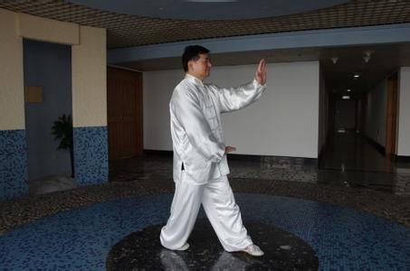 三体式桩功 三体式桩功 “三体式桩”讨论