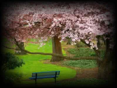 你的微笑就像一道风景 和谐的家庭就像一道风景