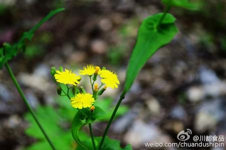 十分钟教你学会游泳 日常生活中花十分钟就能学会但是终生受用的技能汇总!！