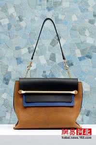 女士手袋和配饰品牌 13款Chloe 2014新款手袋鞋子配饰