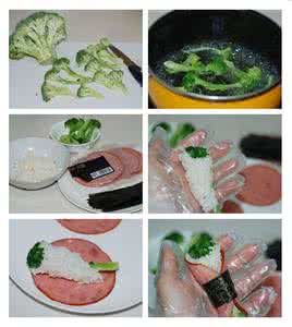 寿司的做法 【图文】诺宝寿司的做法