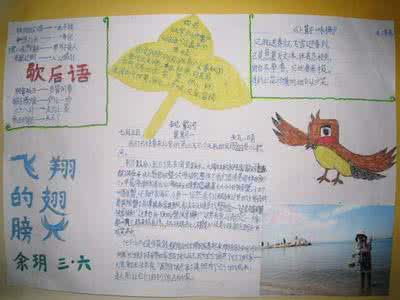 二年级语文手抄报 暑假二年级语文手抄报