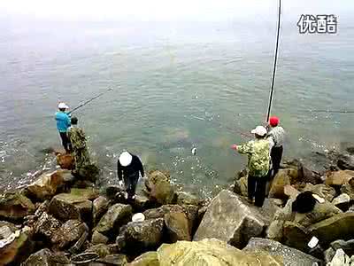 青岛海钓联盟 威钓联盟【海钓】海钓地形决定钓点