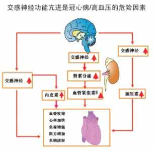 旅行中常见的七大误区 心脏病的七大认识误区！