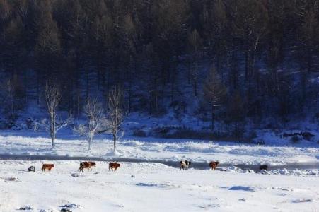 雪景拍摄技巧全攻略 冬季雪景拍摄攻略