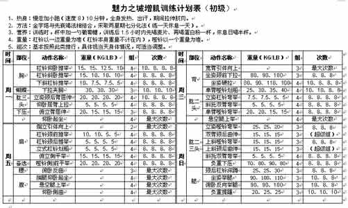 初级健身训练计划表 训练计划 健身训练计划表