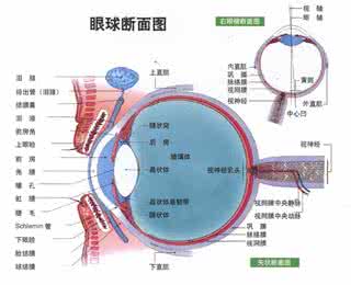 中医治疗干眼症方法 干眼症的治疗 中医治疗干眼症的方法有哪些