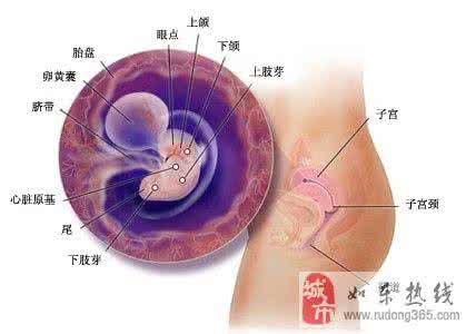 我想要大大的厨房 厨房 | 想要BB健康发育 这6种维生素缺一不可