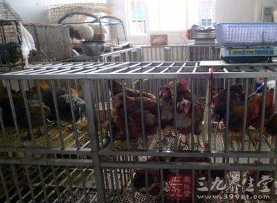 邢台东联阳光尚城违法 邢台市场活禽销售卫生堪忧 清理违法摊点14个