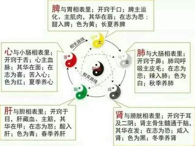 肝心脾肺肾五脏新解 心、肝、肺、肾、脾，滋补五脏的前三名，为家人收着