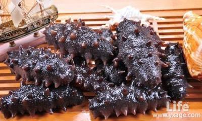 如何水发干海参 如何在家水发海参