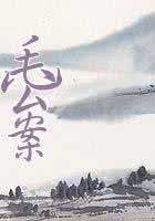 李公案 毛公案
