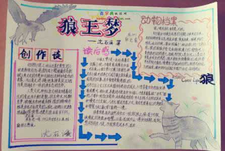 狼王梦读后感 狼王梦读后感 小说狼王梦读后感 狼王梦的内容分析